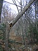 20061105__1109_037.JPG