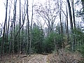 20061105__1109_038.JPG