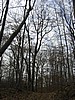 20061105__1115_040.JPG