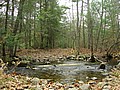 20061105__1119_045.JPG