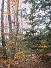 20061105__1121_048.JPG