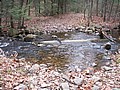 20061105__1122_049.JPG