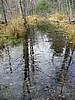 20061105__1147_051.JPG