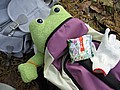 20061105__1150_054.JPG