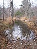 20061105__1151_055.JPG