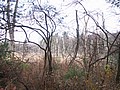 20061105__1152_057.JPG