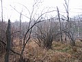 20061105__1152_058.JPG