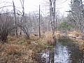 20061105__1152_059.JPG