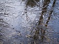 20061105__1152_060.JPG
