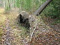 20061105__1158_062.JPG