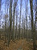 20061105__1248_063.JPG