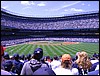 IMG_4481.jpg