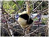 IMG_3021.jpg