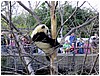 IMG_3023.jpg