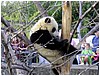 IMG_3024.jpg
