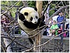 IMG_3026.jpg