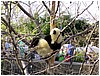IMG_3029.jpg