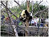 IMG_3035.jpg
