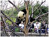 IMG_3036.jpg