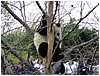IMG_3037.jpg