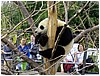 IMG_3038.jpg