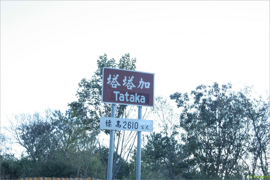 20061225_0740_011.JPG