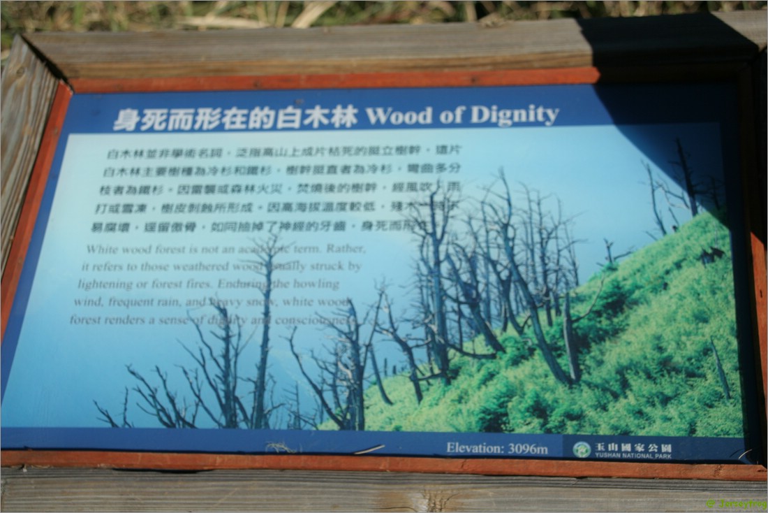 20061225_1459_065.JPG