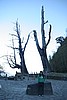 20061225_0721_006.JPG