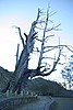 20061225_0726_008.JPG