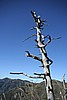 20061225_0938_028.JPG