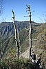 20061225_0945_032.JPG