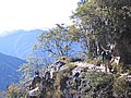 20061225_1051_046.jpg