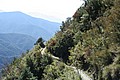 20061225_1316_057.JPG