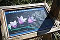 20061225_1320_058.JPG