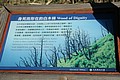 20061225_1459_065.JPG