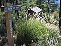20061226_1237_141.jpg
